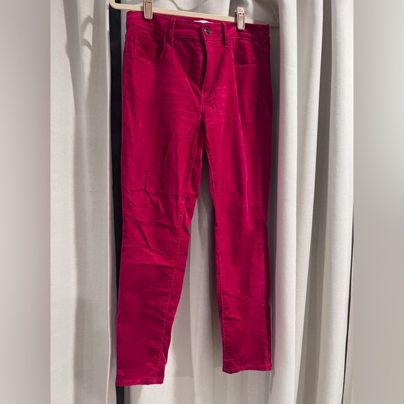 Loft Velvet Pink Pants - Picture 1 of 2